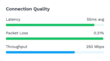 ZeroTier Connection Quality metrics showing low Latency (55ms), low Packet Loss (0.21%), and high Throughput (250 Mbps).